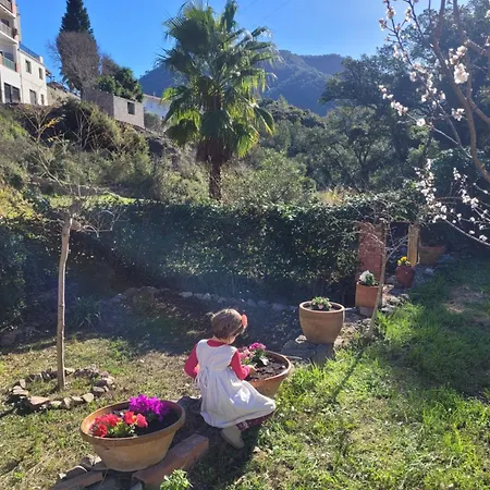 Trocito De Paraiso En La Sierra Espadan *