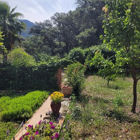 Trocito De Paraiso En La Sierra Espadan