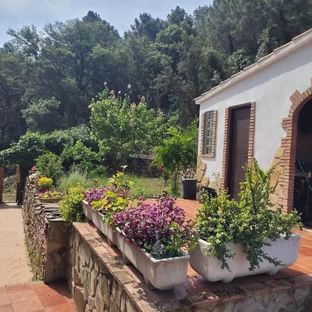 Trocito De Paraiso En La Sierra Espadan