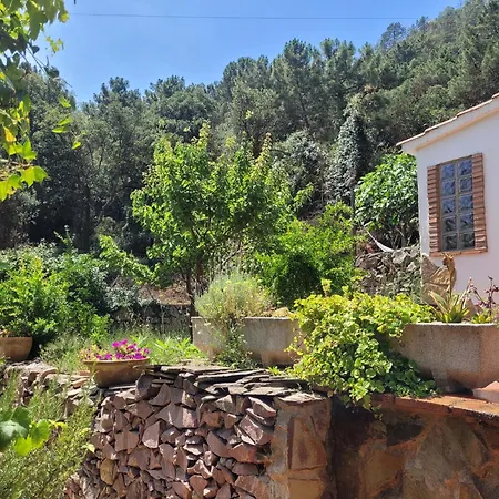Trocito De Paraiso En La Sierra Espadan * Eslida