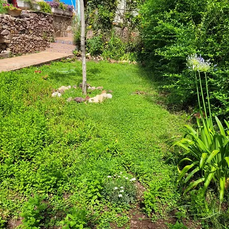 Trocito De Paraiso En La Sierra Espadan Chalet Eslida