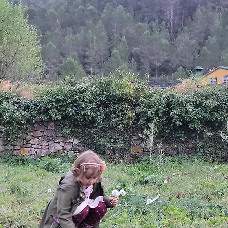 Trocito De Paraiso En La Sierra Espadan Chalet
