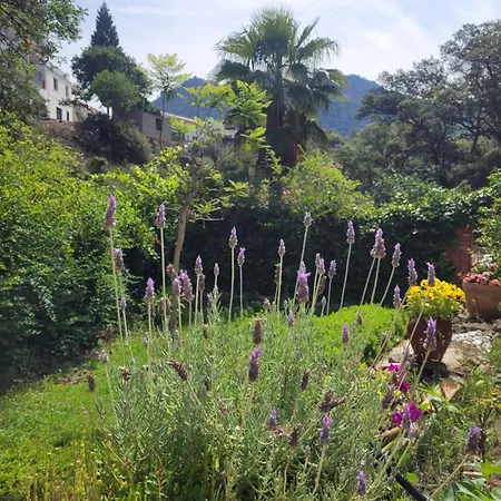Trocito De Paraiso En La Sierra Espadan Eslida